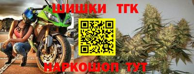 соль ск Сланцы