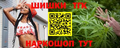 МДПВ Славгород