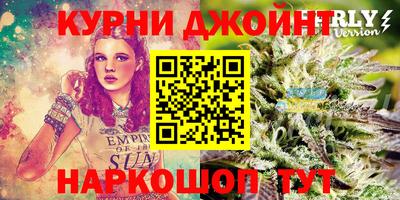 соль ск Сланцы