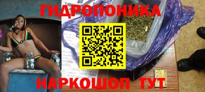 МДПВ Славгород