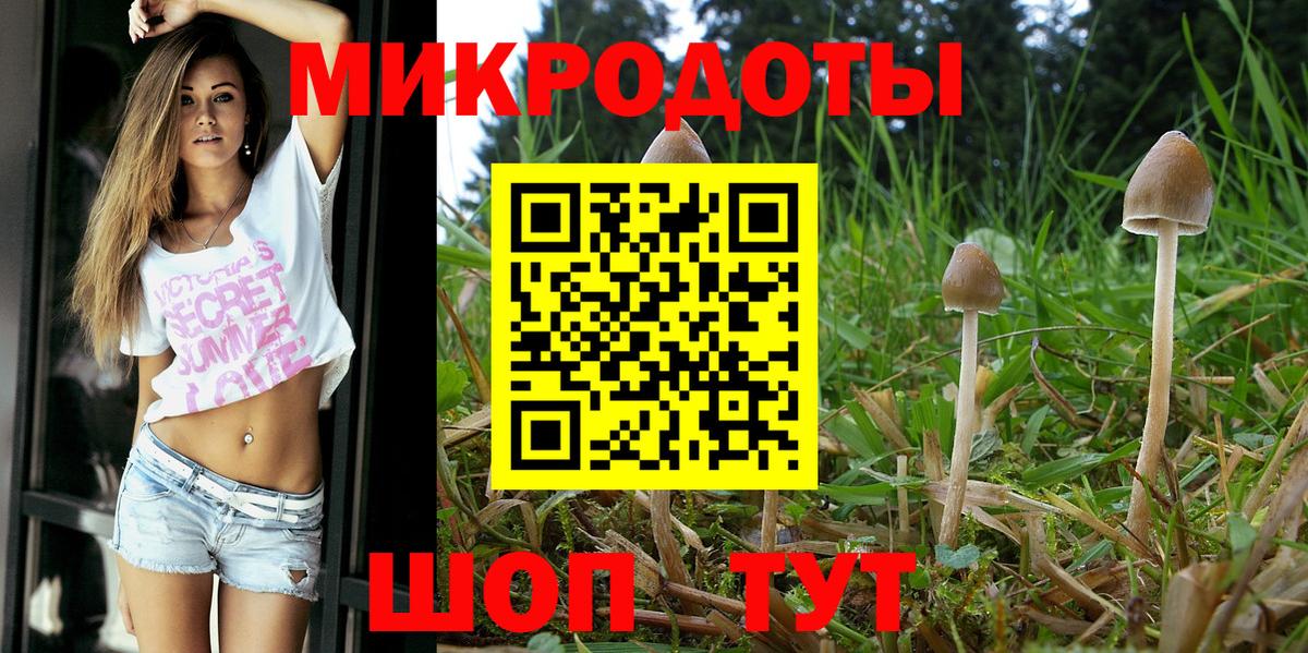 Псилоцибиновые грибы Psilocybine cubensis Наро-Фоминск